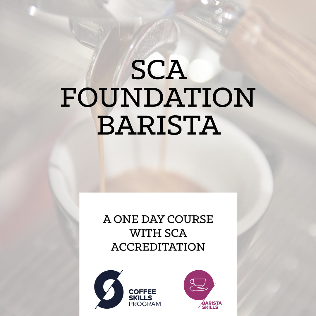 SCA Foundation Barista